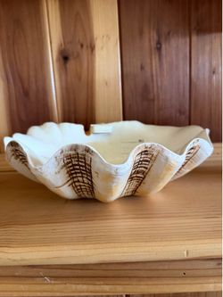 Seashell
