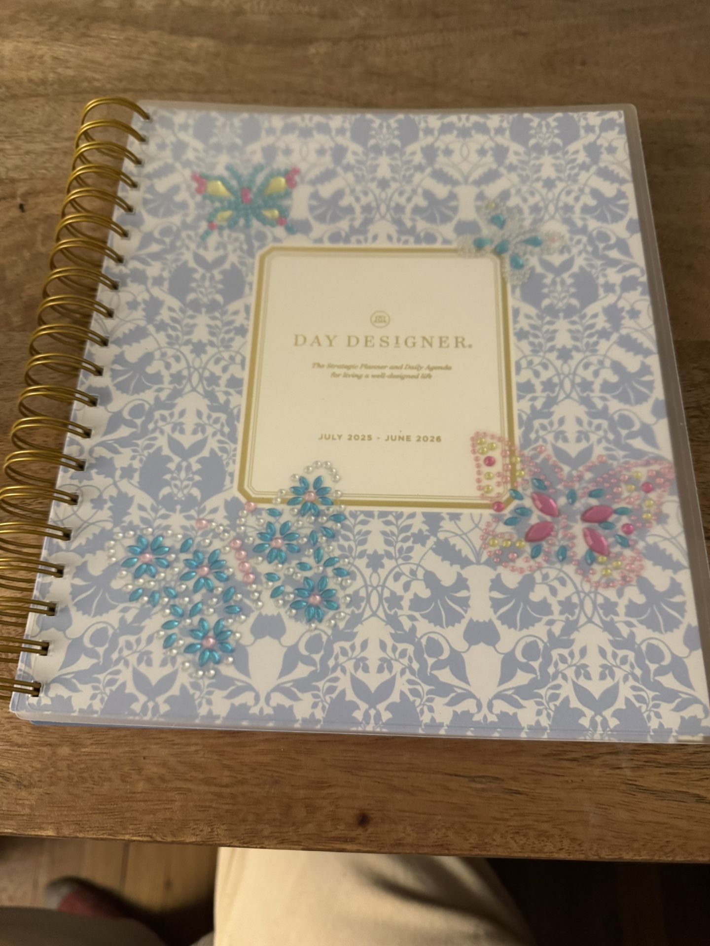 Day Designer Daily Planner For November 2025-June 2026