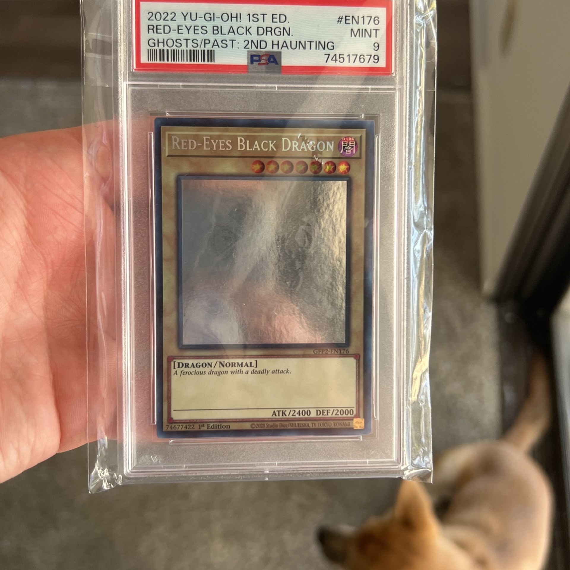 Ghost Rare Red Eyes Black Dragon Yugioh Card