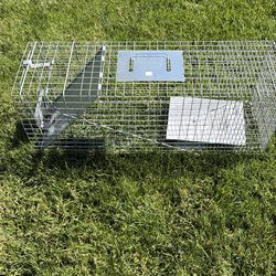Animal Trap- humane