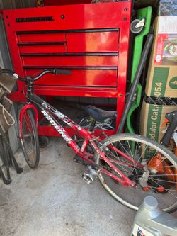 Vintage Redline BMX