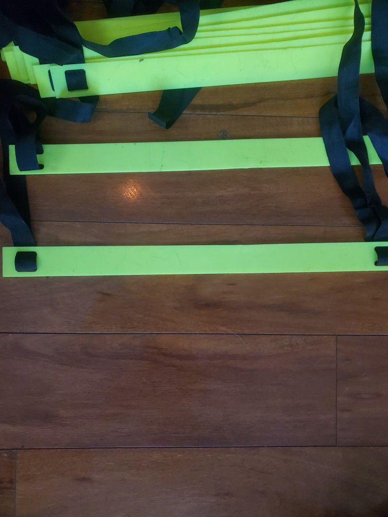 Exercise Ladder