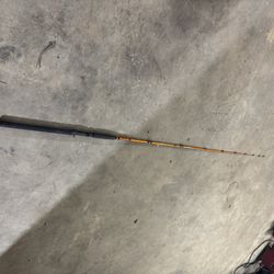Ugly Stik Catfish Special Casting Rod 8ft!!