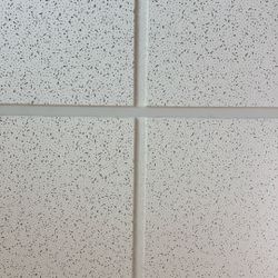 Business Ceiling Tiles  
