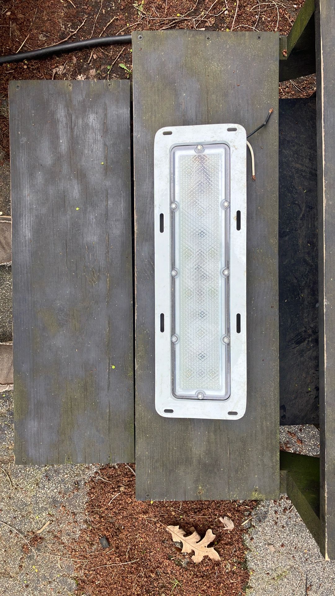 LED Dome Light