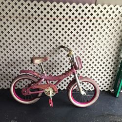 Toddler Bike