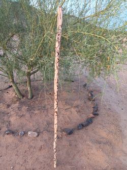 Handmade Aspen Wood Hiking Stick, Fractal Burned Filled with Copper Resin