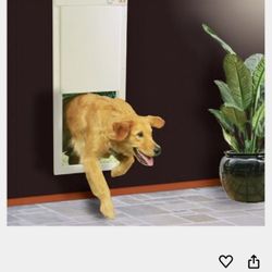 Electric Dog Door