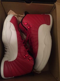 Jordan retro 12