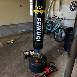 Stand-up Punching Bag