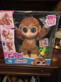 PEANUT THE PLAYFUL MONKEY