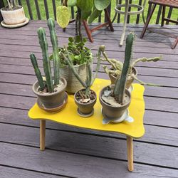 Yellow Plant Stand Small Table - Yellow