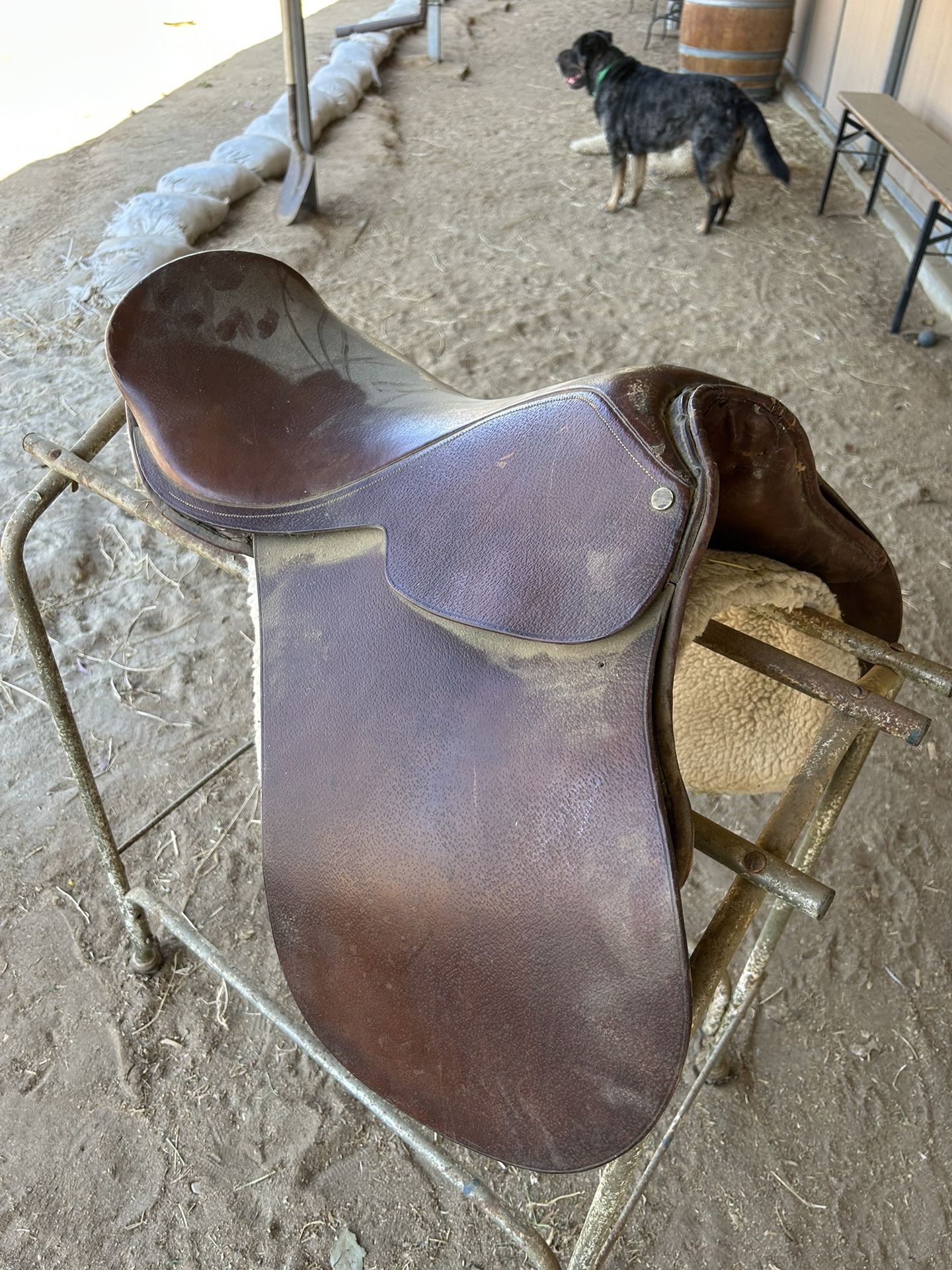 Saddle