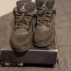 Black Cats Size 13