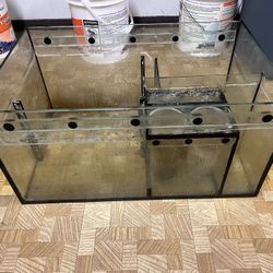 Red Sea 350 Sump