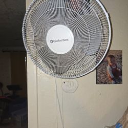 Fan 
