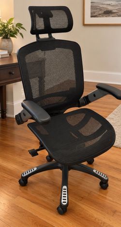 Ergonomic Mesh Office Chair w/ Headrest & Adjustable Arms