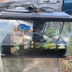 Fish Tank 