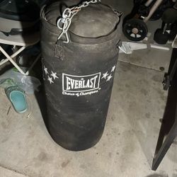 Everlast Punching Bag 