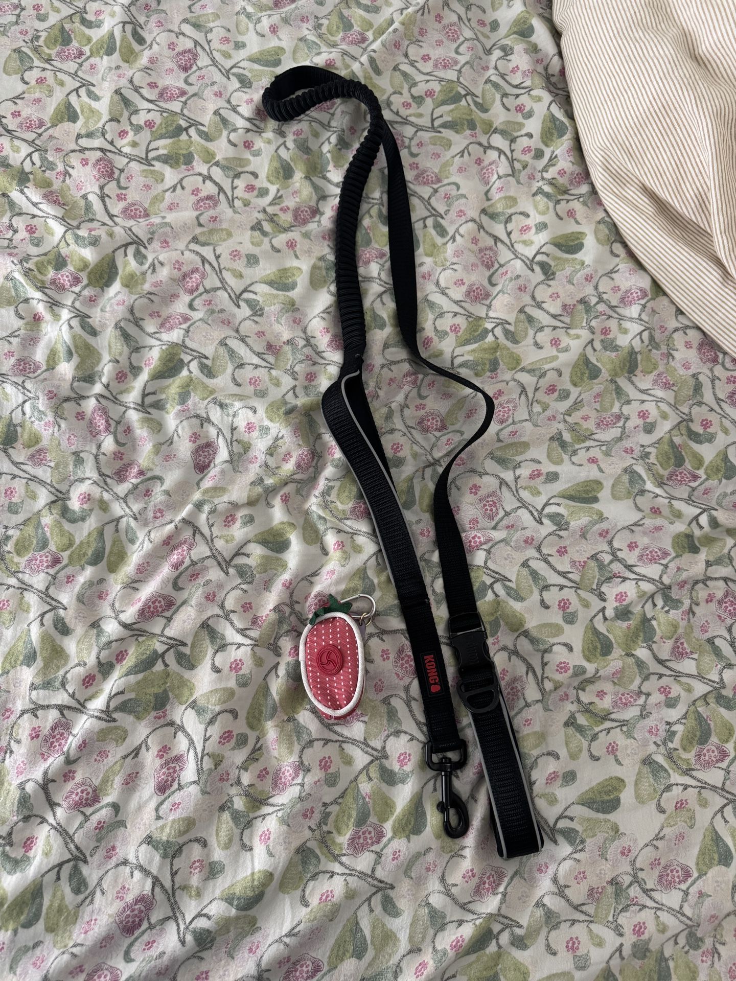 Leash & Bag Carrier