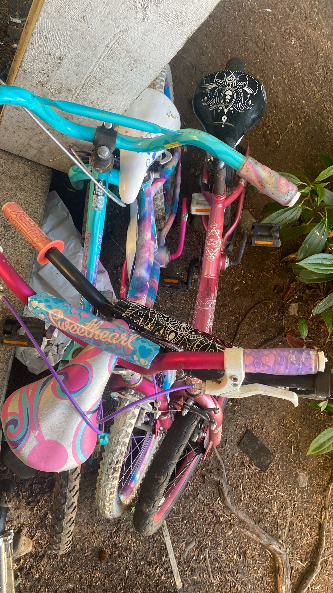FREE BIKES
