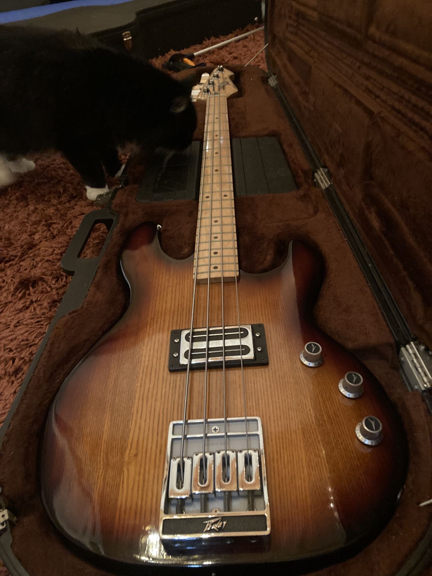 peavey t-45 bass guitar w/ OHSC, sunburst