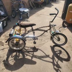 Schwinn Costom Frme 