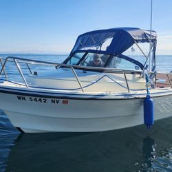 2007 Arima SeaChaser 17’