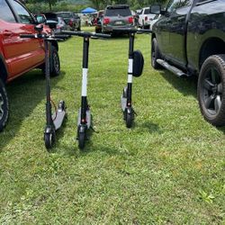 3 Electric Scooters