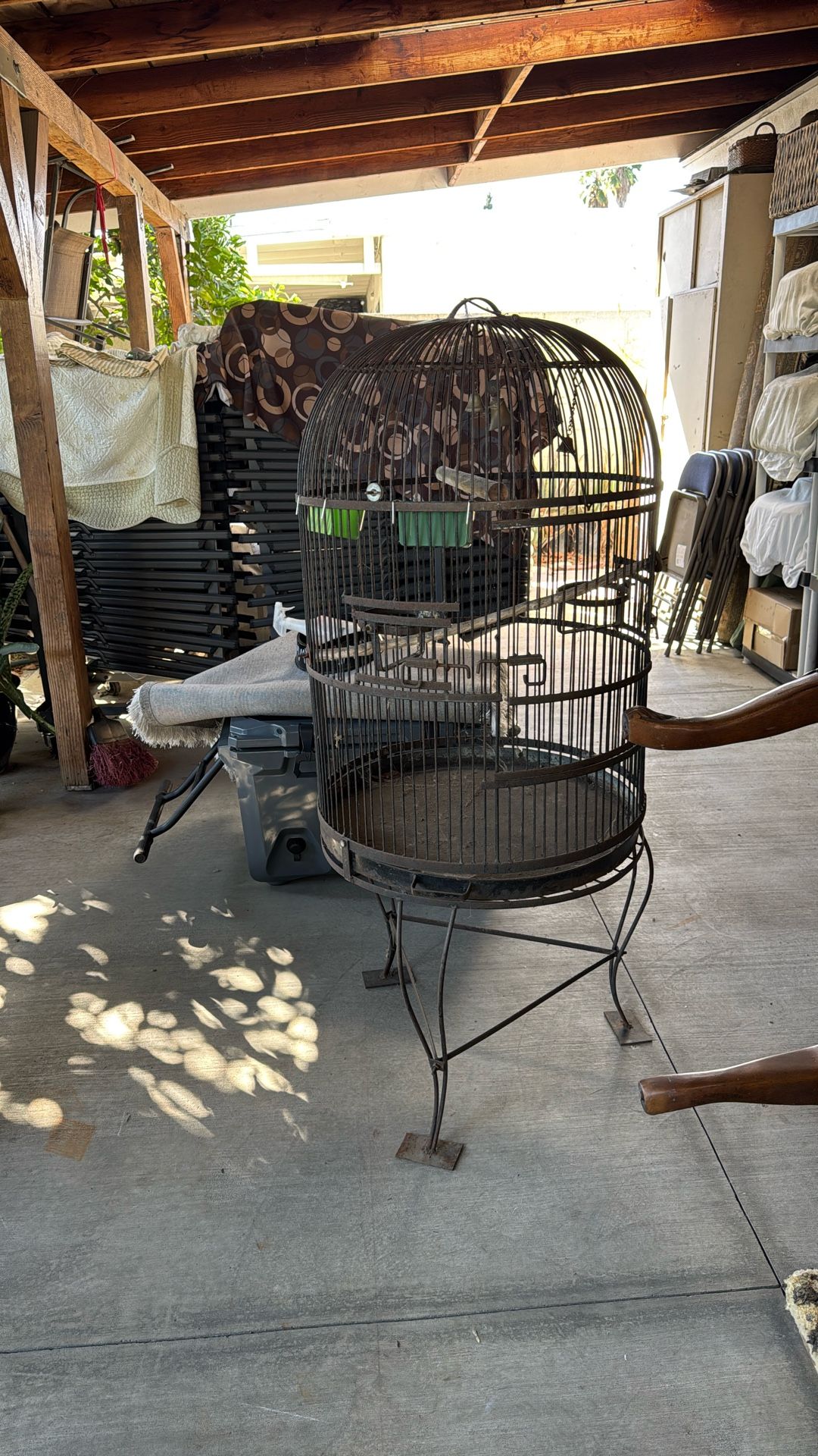 Bird Cage 