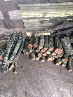 Oak Firewood 