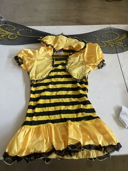 Ladybug