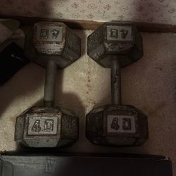 40 lb Dumbbells 