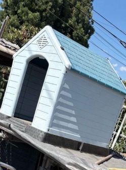 doghouse