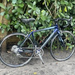 ROAD CARBON SPECIALIZED RUBYCOMP 2-10 SPEED FRAME LARGE  - TUNE UP DONE ✅