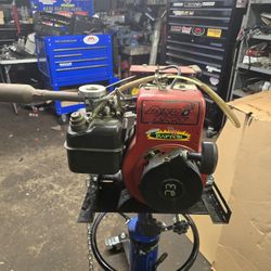 Raptor Three Briggs Race Motor 