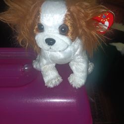 New Retired Beanie Baby Regal The King Charles Spaniel Plush Toy For Sale.
