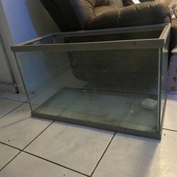 Fish Tank
