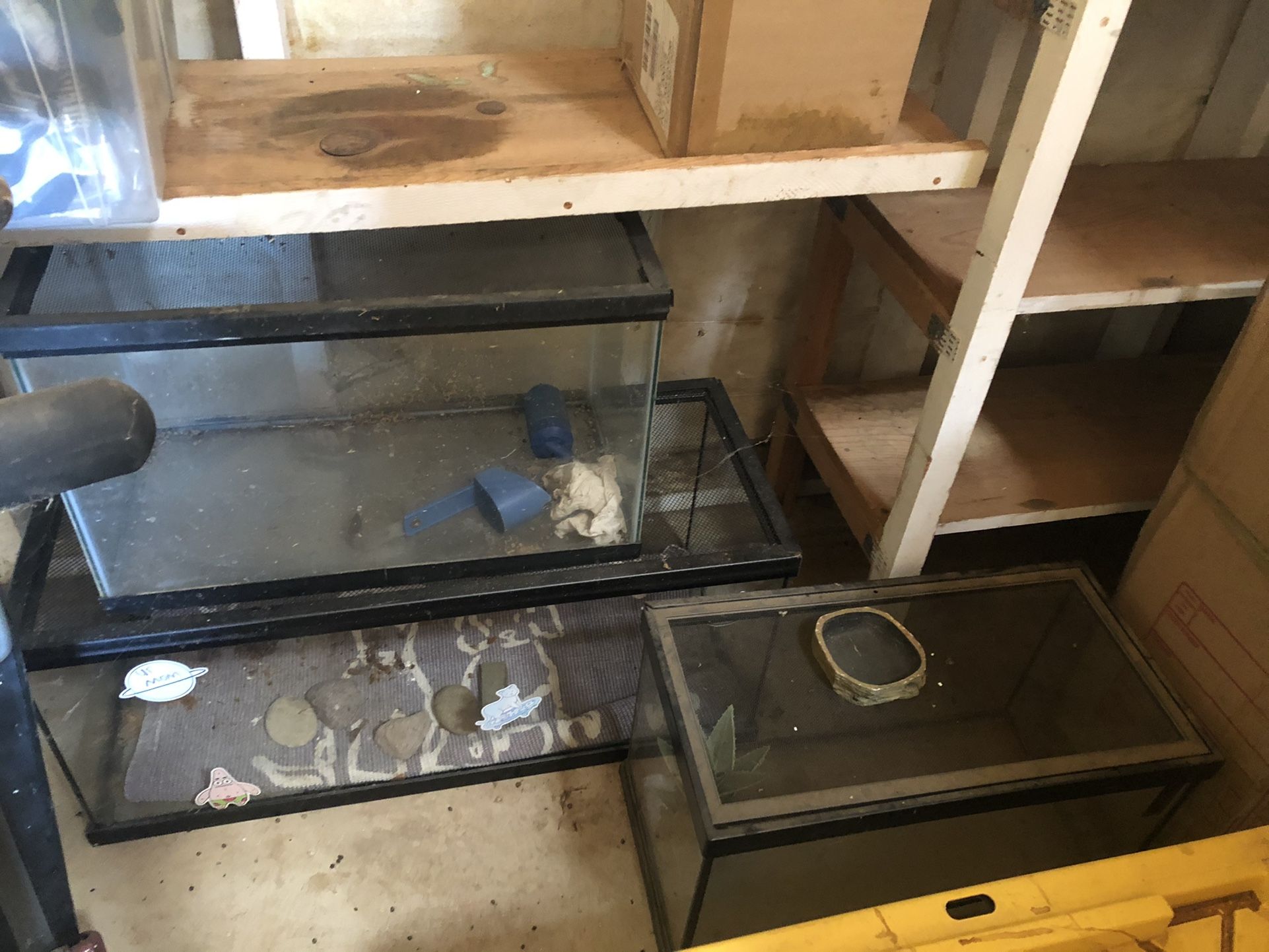 Reptile cage, Repost