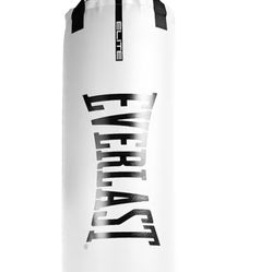 Used Everlast Boxing Bag