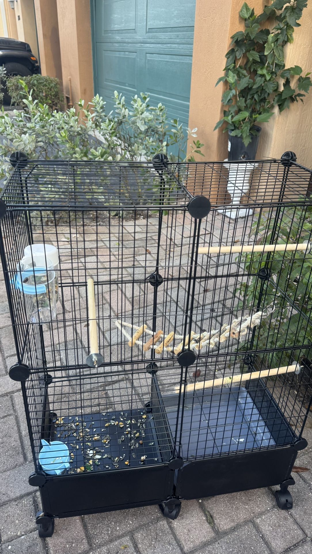 Bird Cage