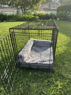 Pet crate with Bolster Pad