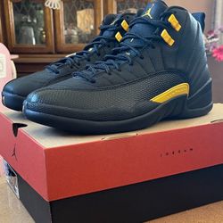 Jordan 12 