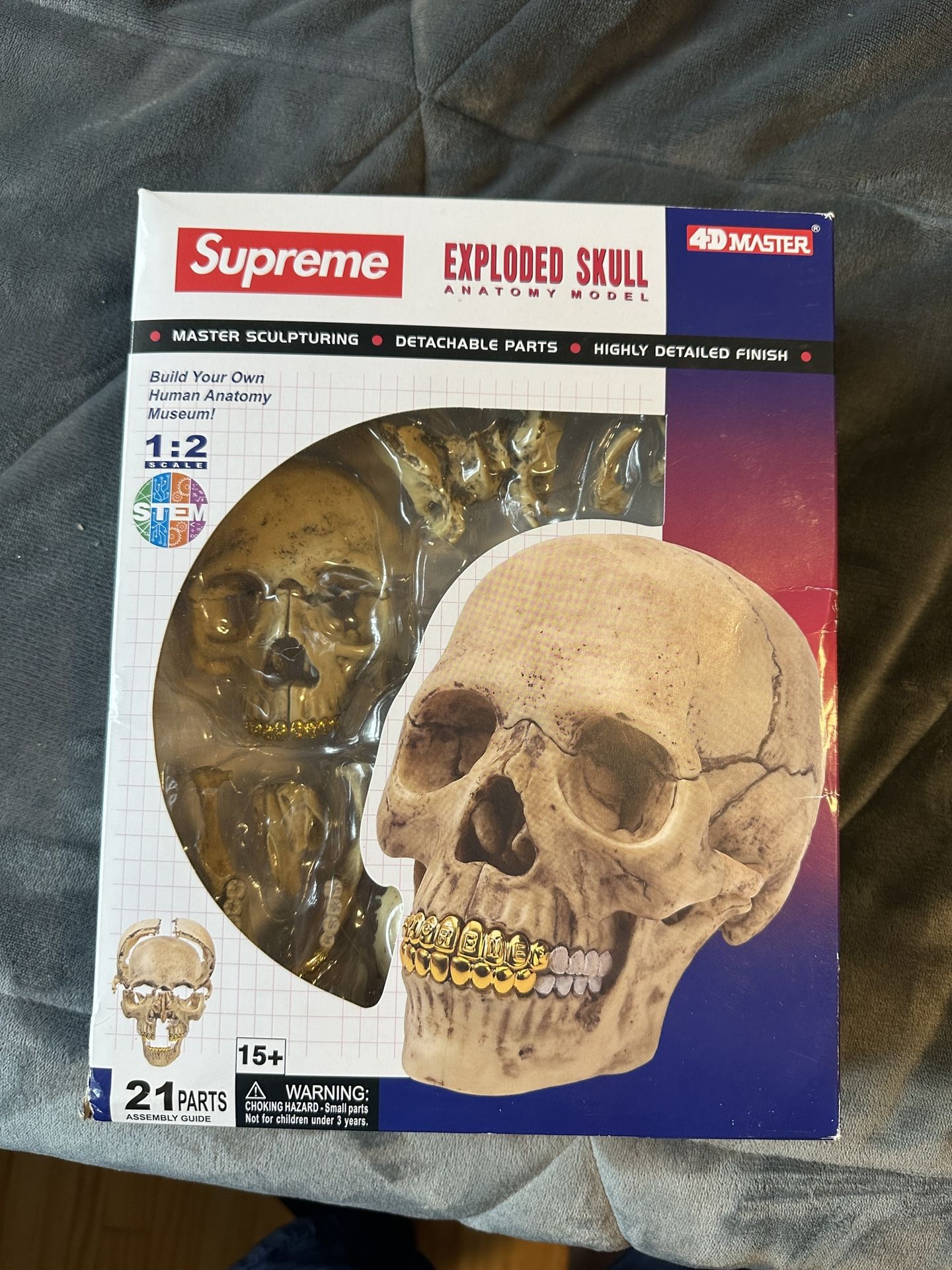 Supreme 4D Human Skull