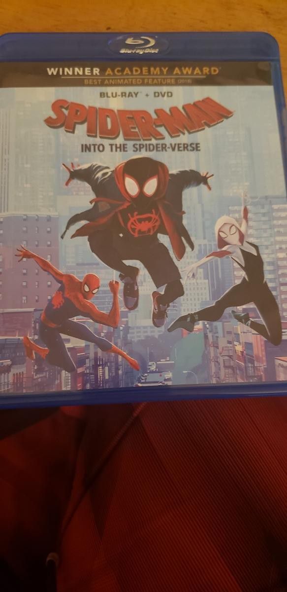 Spider Man Into The Spider-verse