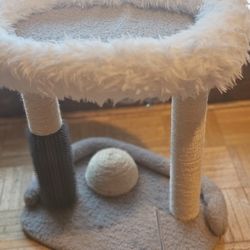 Cat Bed, And Play