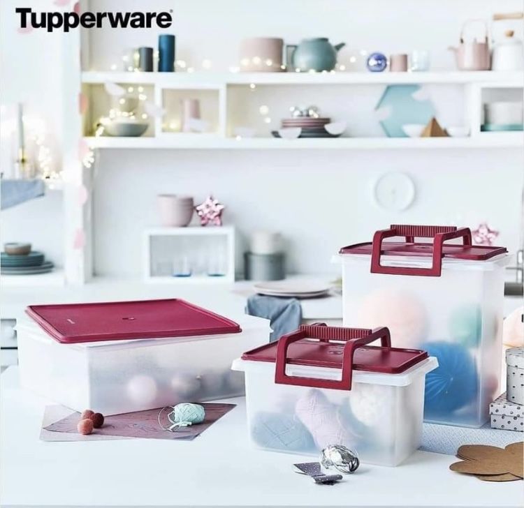 Tupperware varias especiales