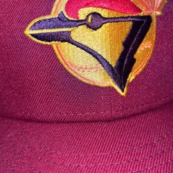 Hatclub Badlands Bluejays 7