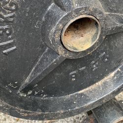Two 25 Lbs Olympic Weight Plates 