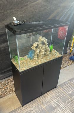 Fish tank with decor